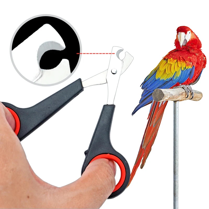 Grooming Scissors - 12cm Evcil Hayvan Papağan Tırnak Makası